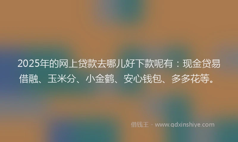 2025年的网上贷款去哪儿好下款呢有：现金贷易借融、玉米分、小金鹤、安心钱包、多多花等。
