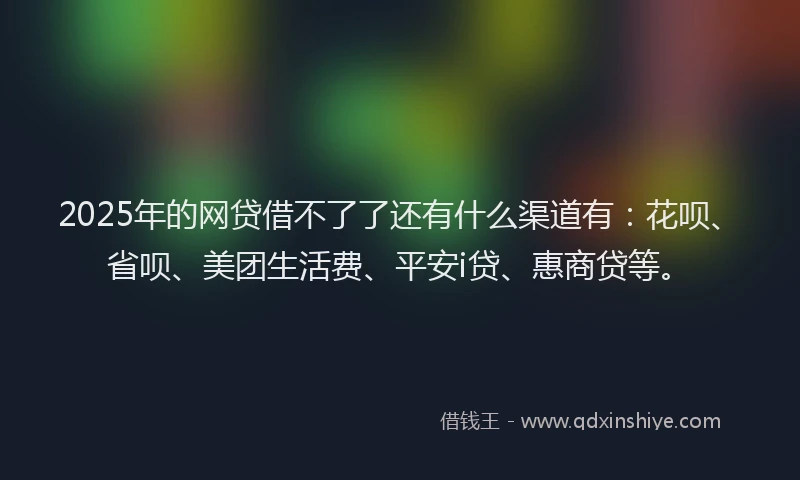 2025年的网贷借不了了还有什么渠道有：花呗、省呗、美团生活费、平安i贷、惠商贷等。