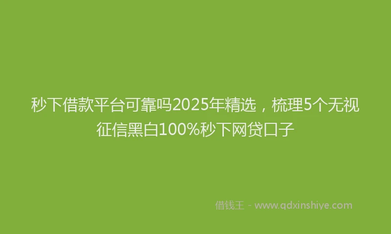 秒下借款平台可靠吗2025年精选，梳理5个无视征信黑白100%秒下网贷口子