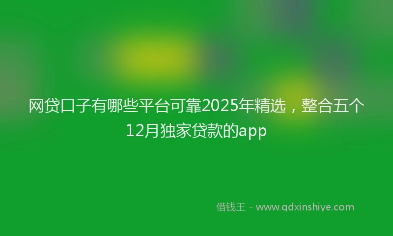 网贷口子有哪些平台可靠2025年精选，整合五个12月独家贷款的app