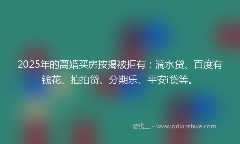 2025年的离婚买房按揭被拒有：滴水贷、百度有钱花、拍拍贷、分期乐、平安i贷等。