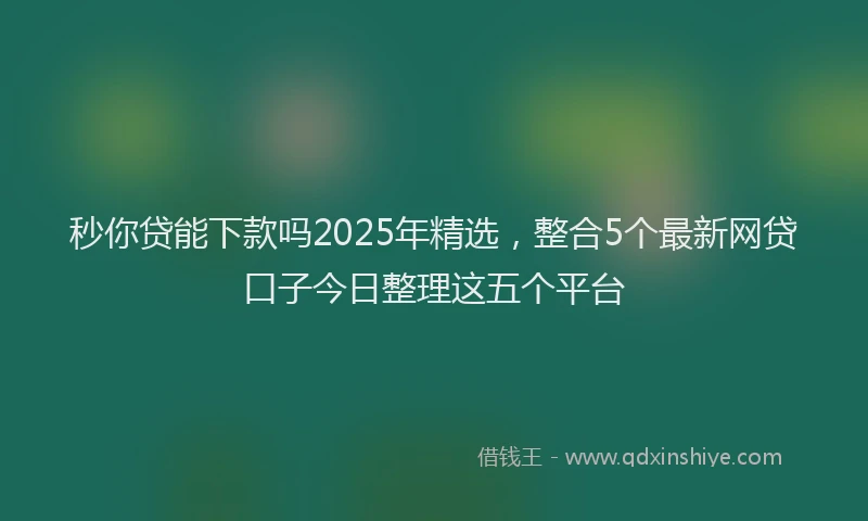秒你贷能下款吗2025年精选，整合5个最新网贷口子今日整理这五个平台