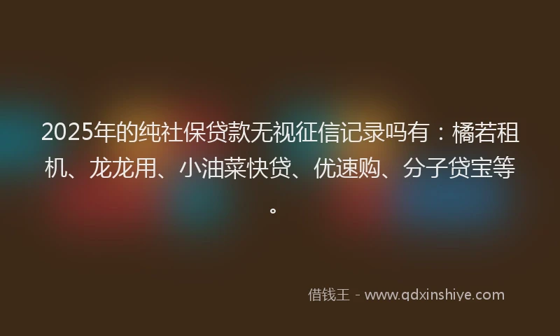 2025年的纯社保贷款无视征信记录吗有：橘若租机、龙龙用、小油菜快贷、优速购、分子贷宝等。