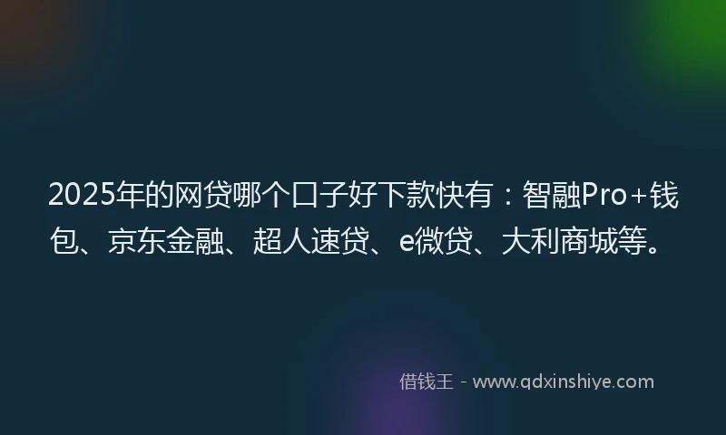 2025年的网贷哪个口子好下款快有：智融Pro+钱包、京东金融、超人速贷、e微贷、大利商城等。