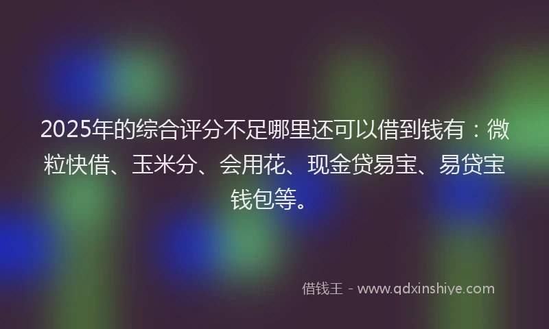 2025年的综合评分不足哪里还可以借到钱有：微粒快借、玉米分、会用花、现金贷易宝、易贷宝钱包等。