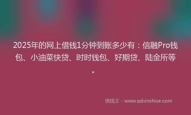 2025年的网上借钱1分钟到账多少有：信融Pro钱包、小油菜快贷、时时钱包、好期贷、陆金所等。