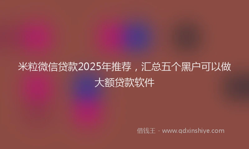 米粒微信贷款2025年推荐，汇总五个黑户可以做大额贷款软件