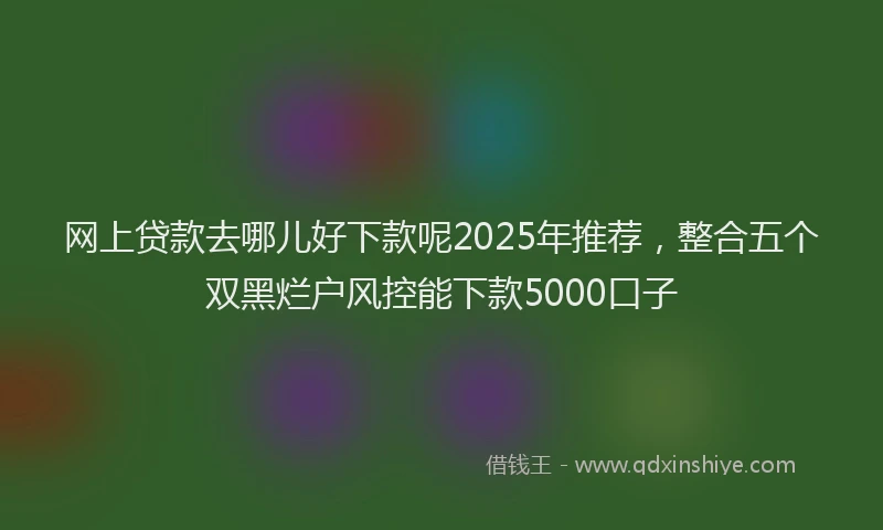 网上贷款去哪儿好下款呢2025年推荐，整合五个双黑烂户风控能下款5000口子