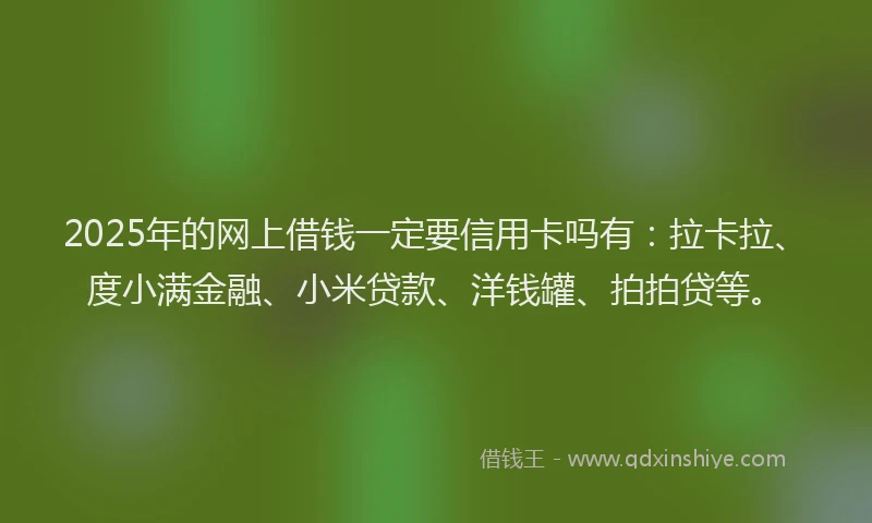 2025年的网上借钱一定要信用卡吗有：拉卡拉、度小满金融、小米贷款、洋钱罐、拍拍贷等。
