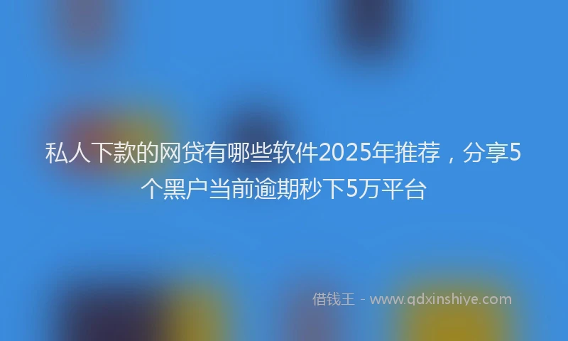 私人下款的网贷有哪些软件2025年推荐，分享5个黑户当前逾期秒下5万平台