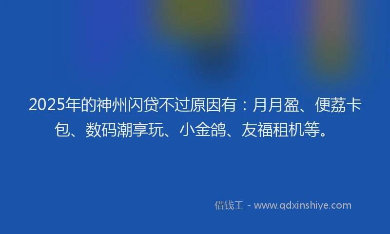 2025年的神州闪贷不过原因有：月月盈、便荔卡包、数码潮享玩、小金鸽、友福租机等。