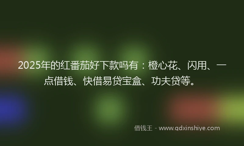 2025年的红番茄好下款吗有：橙心花、闪用、一点借钱、快借易贷宝盒、功夫贷等。