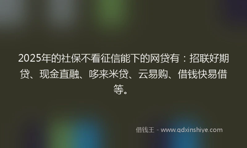 2025年的社保不看征信能下的网贷有：招联好期贷、现金直融、哆来米贷、云易购、借钱快易借等。