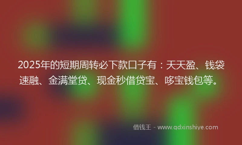 2025年的短期周转必下款口子有：天天盈、钱袋速融、金满堂贷、现金秒借贷宝、哆宝钱包等。