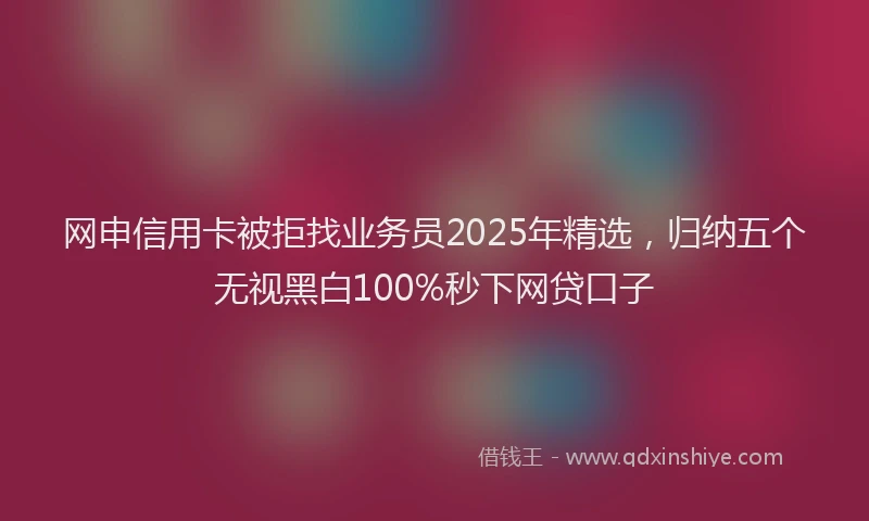 网申信用卡被拒找业务员2025年精选，归纳五个无视黑白100%秒下网贷口子