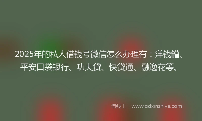 2025年的私人借钱号微信怎么办理有：洋钱罐、平安口袋银行、功夫贷、快贷通、融逸花等。
