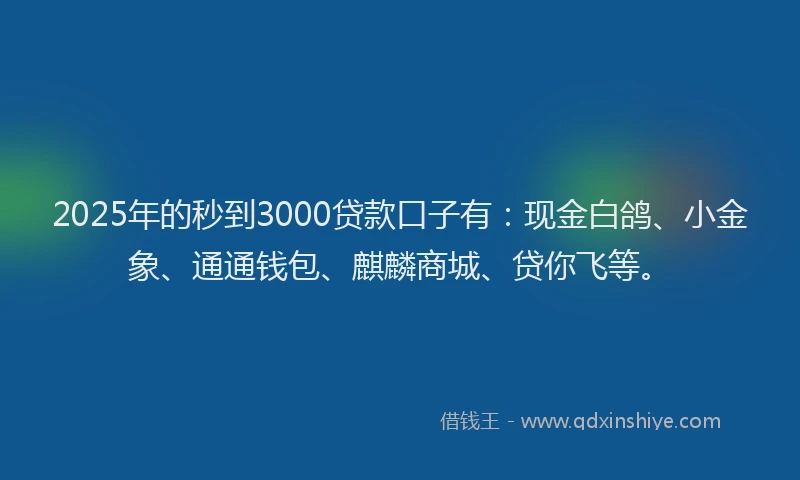 2025年的秒到3000贷款口子有：现金白鸽、小金象、通通钱包、麒麟商城、贷你飞等。
