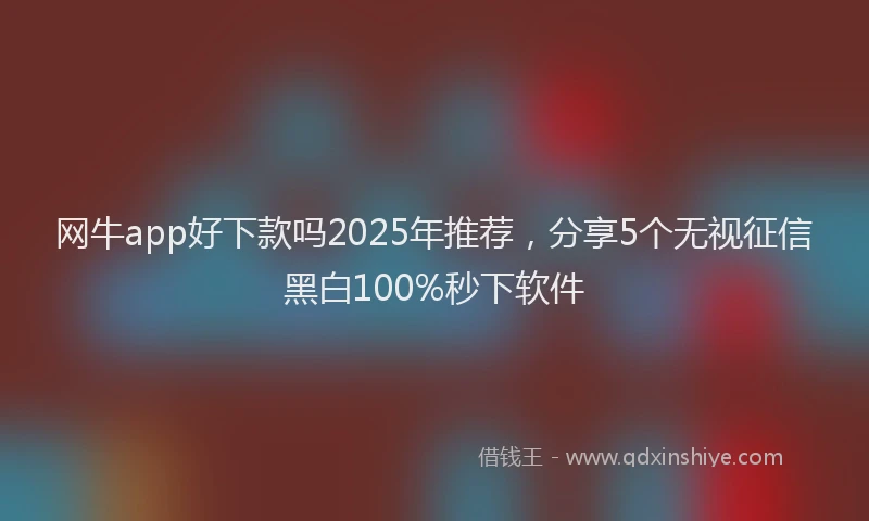 网牛app好下款吗2025年推荐，分享5个无视征信黑白100%秒下软件