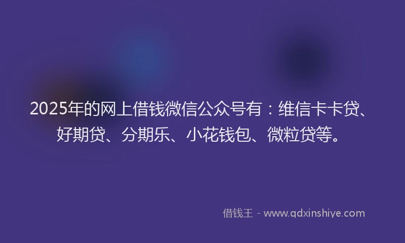 2025年的网上借钱微信公众号有：维信卡卡贷、好期贷、分期乐、小花钱包、微粒贷等。
