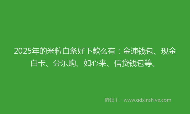 2025年的米粒白条好下款么有：金速钱包、现金白卡、分乐购、如心来、信贷钱包等。