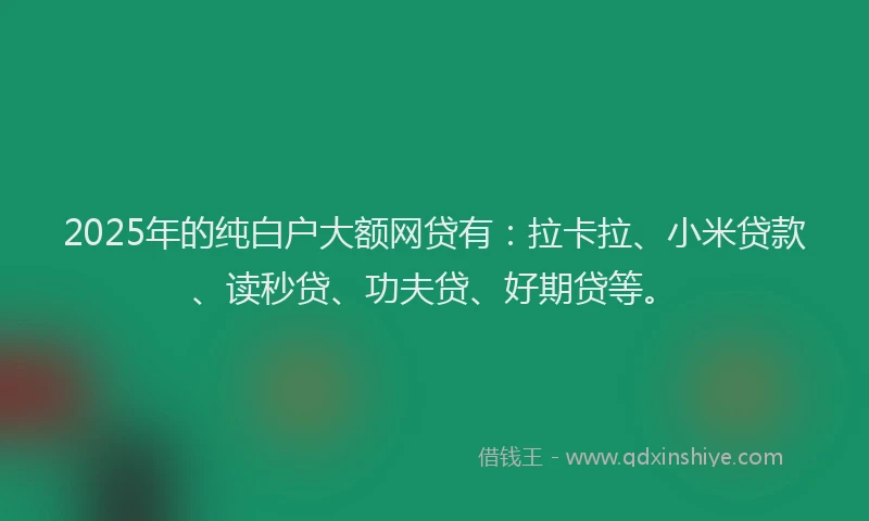 2025年的纯白户大额网贷有：拉卡拉、小米贷款、读秒贷、功夫贷、好期贷等。