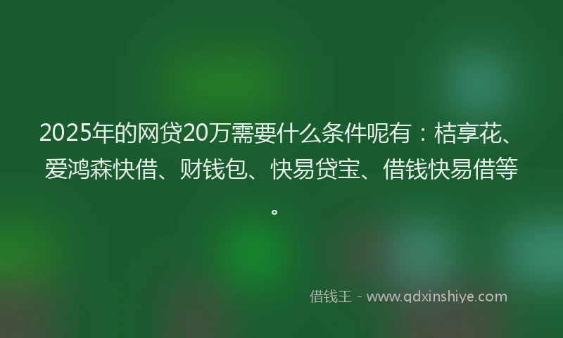 2025年的网贷20万需要什么条件呢有：桔享花、爱鸿森快借、财钱包、快易贷宝、借钱快易借等。