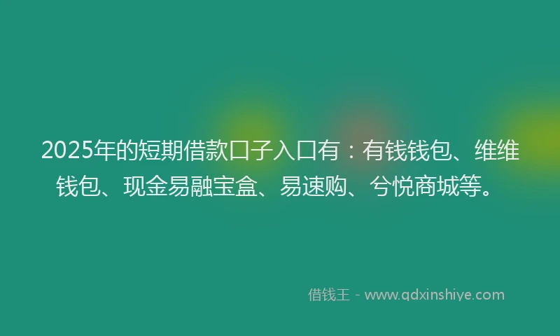 2025年的短期借款口子入口有：有钱钱包、维维钱包、现金易融宝盒、易速购、兮悦商城等。