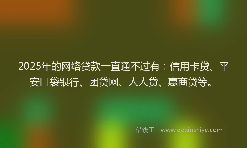 2025年的网络贷款一直通不过有：信用卡贷、平安口袋银行、团贷网、人人贷、惠商贷等。
