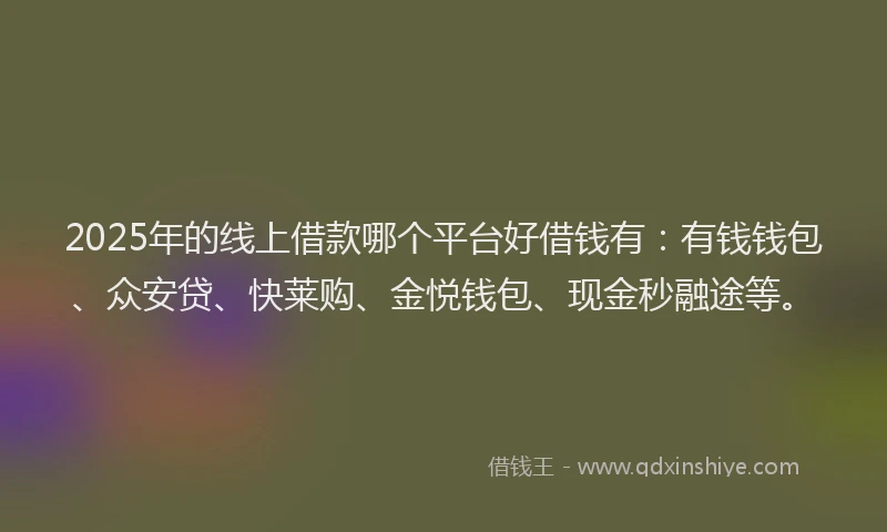 2025年的线上借款哪个平台好借钱有：有钱钱包、众安贷、快莱购、金悦钱包、现金秒融途等。