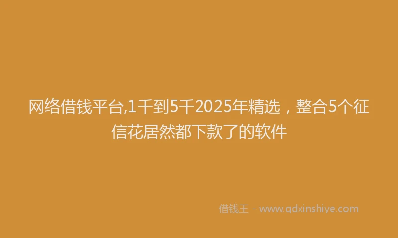 网络借钱平台,1千到5千2025年精选，整合5个征信花居然都下款了的软件
