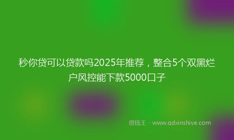 秒你贷可以贷款吗2025年推荐，整合5个双黑烂户风控能下款5000口子