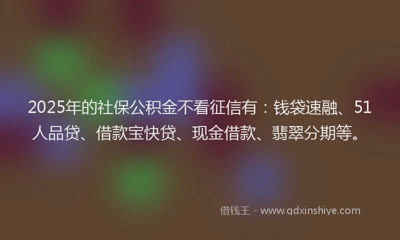 2025年的社保公积金不看征信有：钱袋速融、51人品贷、借款宝快贷、现金借款、翡翠分期等。