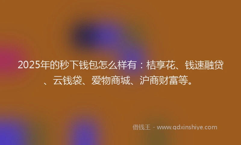 2025年的秒下钱包怎么样有:桔享花、钱速融贷、云钱袋、爱物商城、沪商财富等。