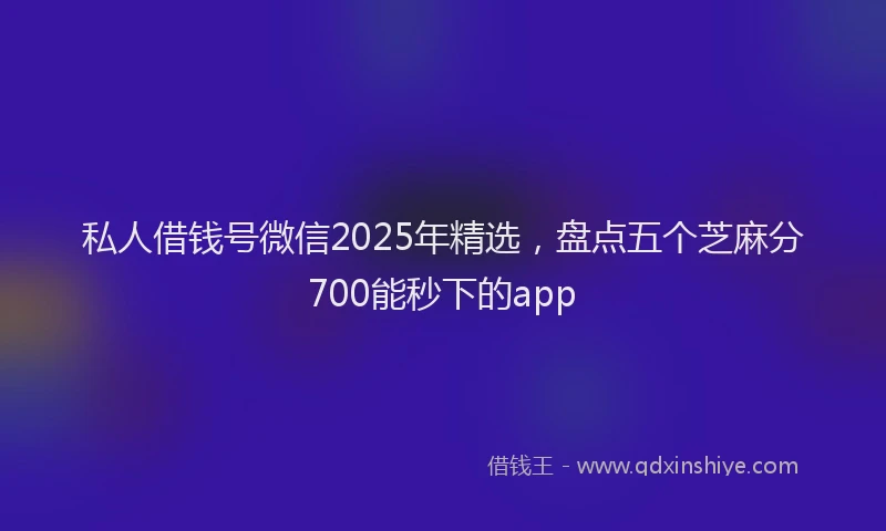私人借钱号微信2025年精选，盘点五个芝麻分700能秒下的app