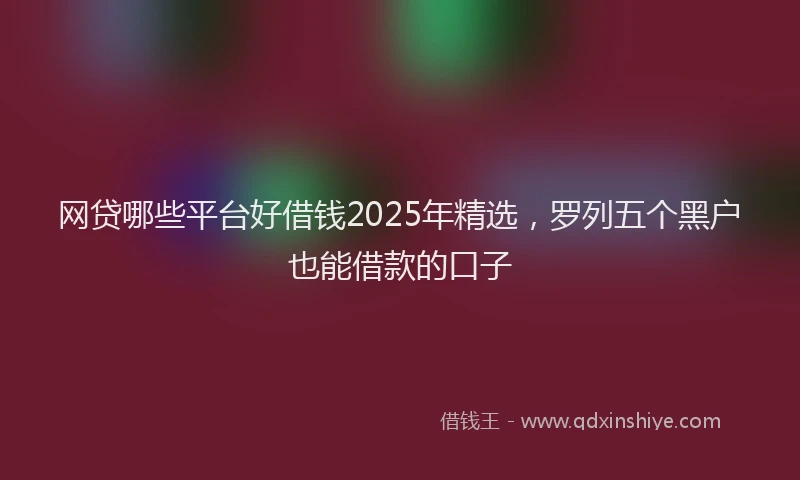 网贷哪些平台好借钱2025年精选，罗列五个黑户也能借款的口子