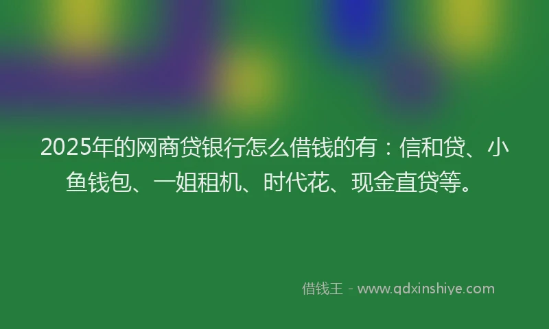 2025年的网商贷银行怎么借钱的有：信和贷、小鱼钱包、一姐租机、时代花、现金直贷等。