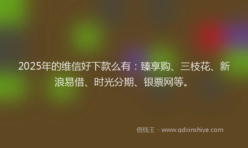 2025年的维信好下款么有：臻享购、三枝花、新浪易借、时光分期、银票网等。