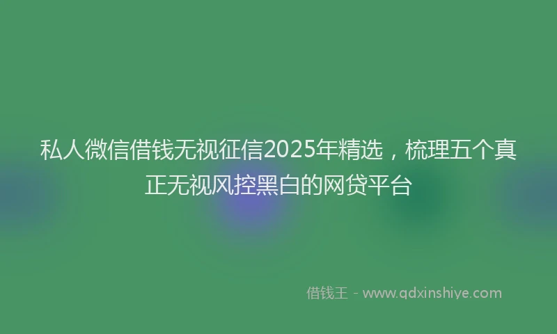 私人微信借钱无视征信2025年精选，梳理五个真正无视风控黑白的网贷平台