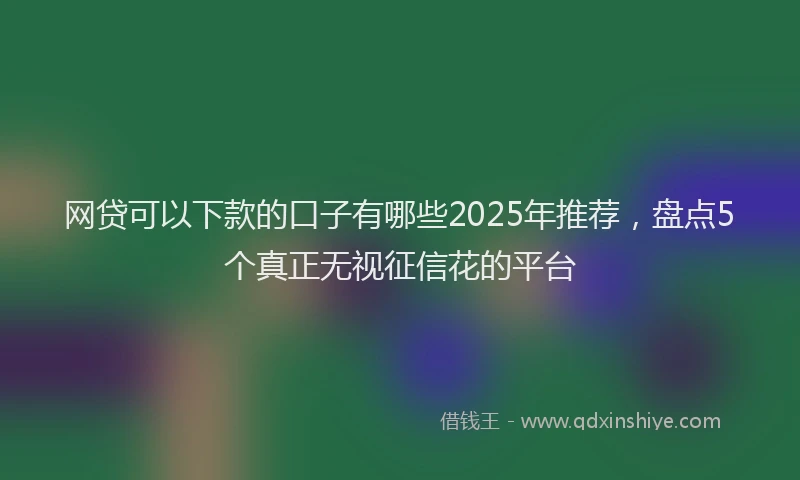 网贷可以下款的口子有哪些2025年推荐，盘点5个真正无视征信花的平台