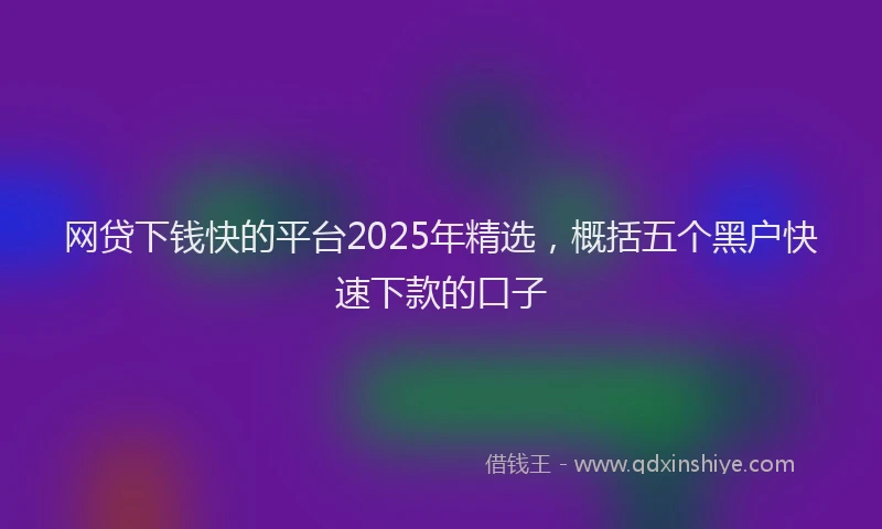 网贷下钱快的平台2025年精选，概括五个黑户快速下款的口子