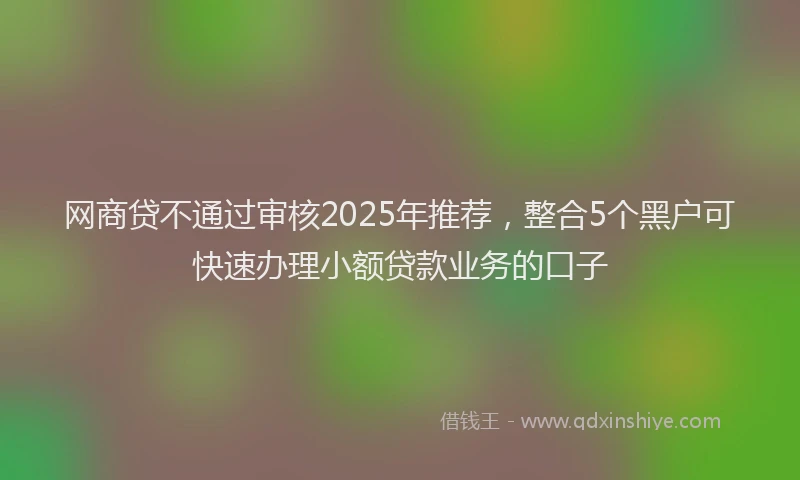 网商贷不通过审核2025年推荐，整合5个黑户可快速办理小额贷款业务的口子