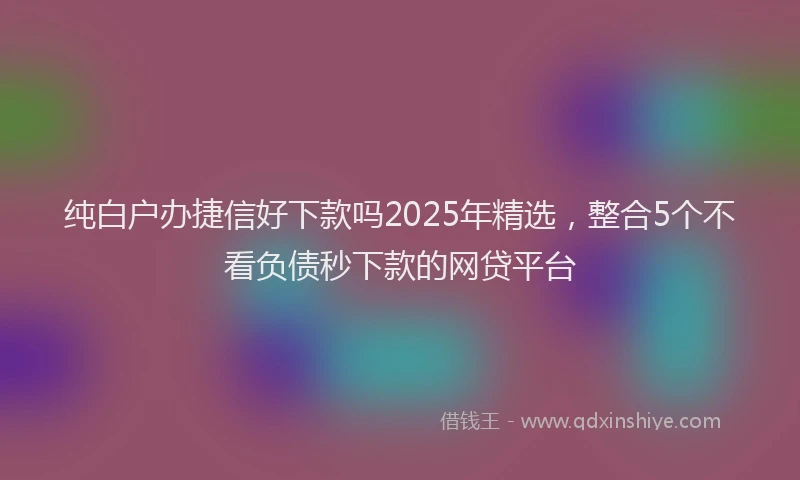 纯白户办捷信好下款吗2025年精选，整合5个不看负债秒下款的网贷平台