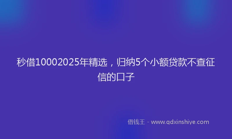 秒借10002025年精选，归纳5个小额贷款不查征信的口子