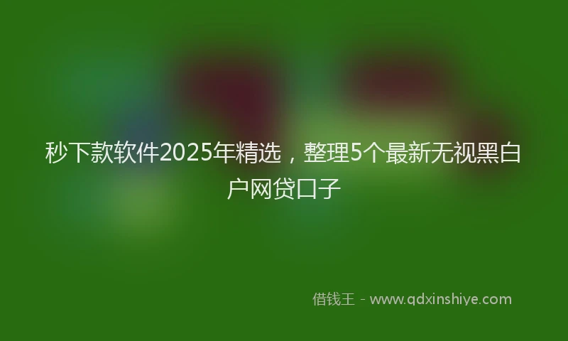 秒下款软件2025年精选，整理5个最新无视黑白户网贷口子
