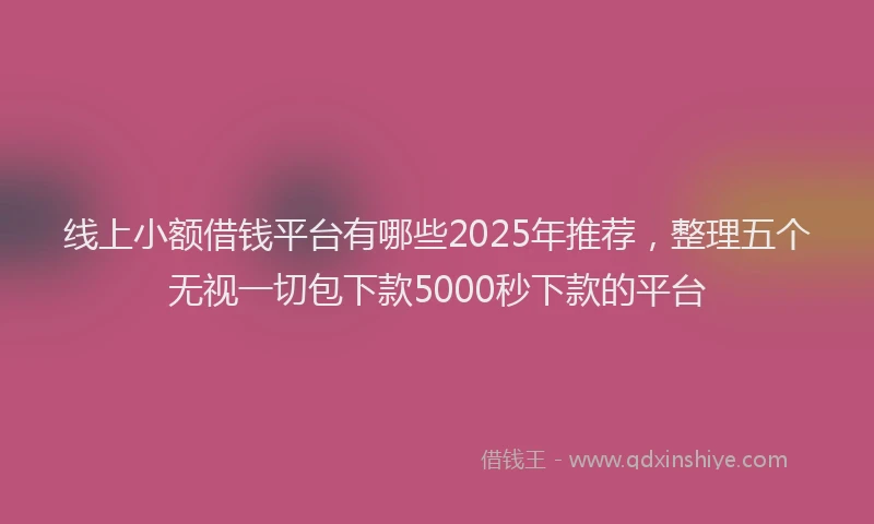 线上小额借钱平台有哪些2025年推荐，整理五个无视一切包下款5000秒下款的平台