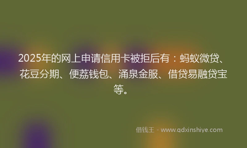 2025年的网上申请信用卡被拒后有：蚂蚁微贷、花豆分期、便荔钱包、涌泉金服、借贷易融贷宝等。