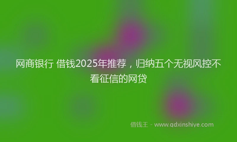 网商银行 借钱2025年推荐，归纳五个无视风控不看征信的网贷