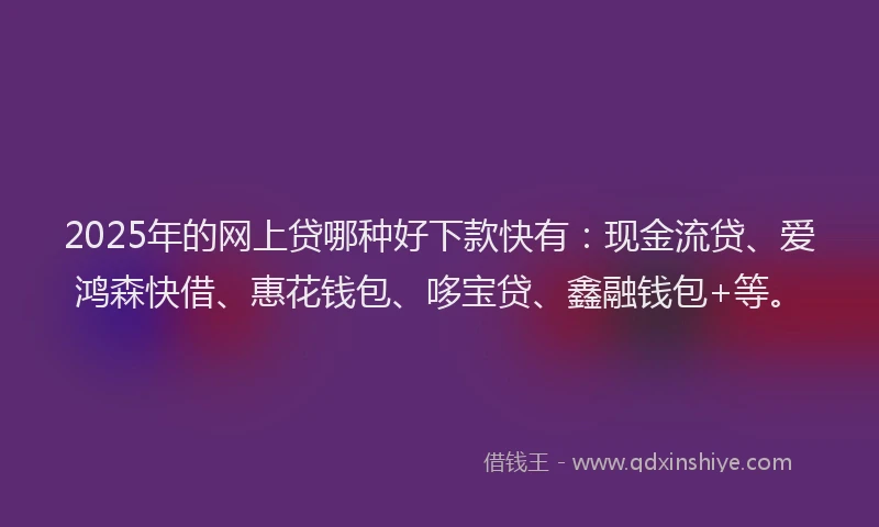 2025年的网上贷哪种好下款快有：现金流贷、爱鸿森快借、惠花钱包、哆宝贷、鑫融钱包+等。