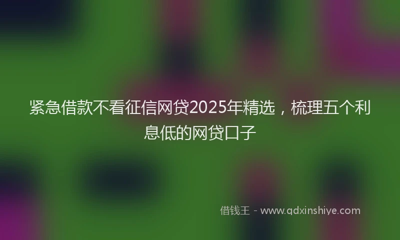 紧急借款不看征信网贷2025年精选，梳理五个利息低的网贷口子