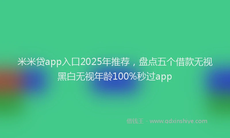米米贷app入口2025年推荐，盘点五个借款无视黑白无视年龄100%秒过app